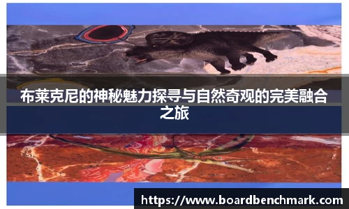 BSport必一运动首页